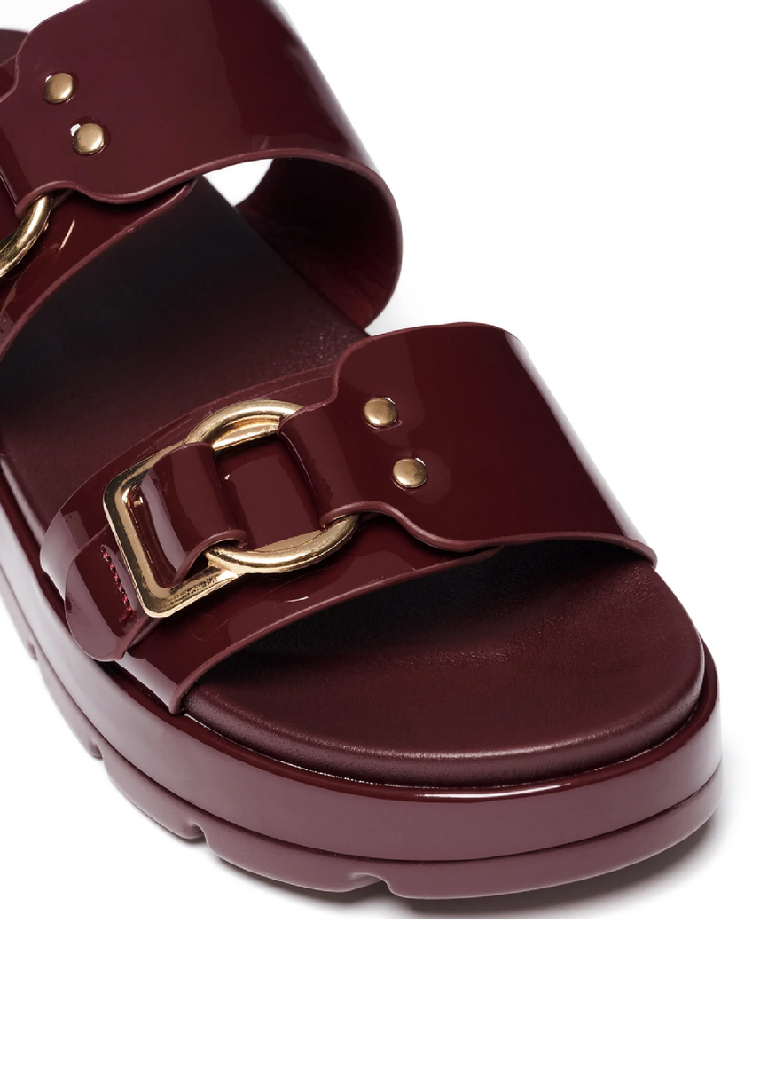 LITMUS SLIDES - CHERRY PATENT