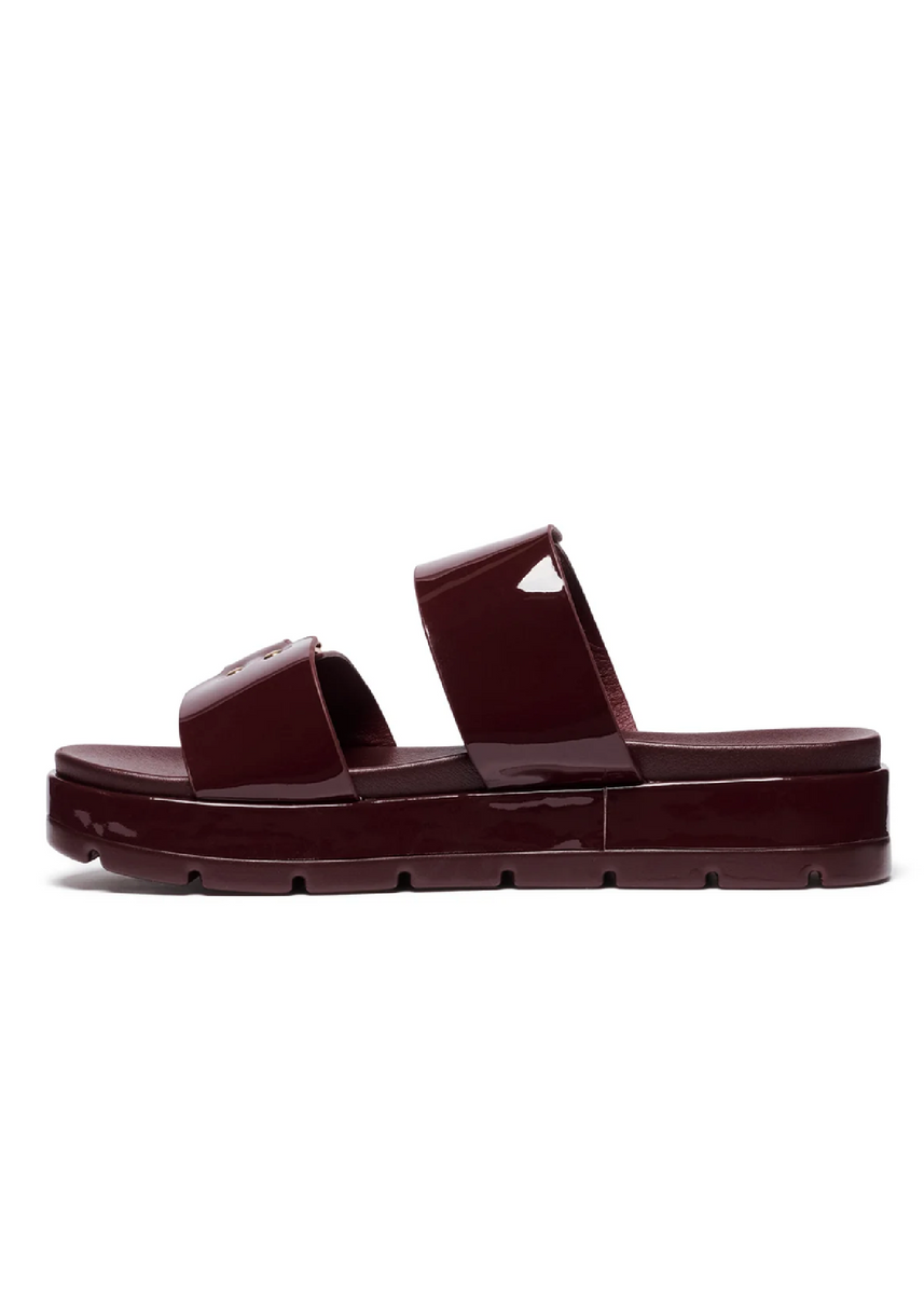 LITMUS SLIDES - CHERRY PATENT