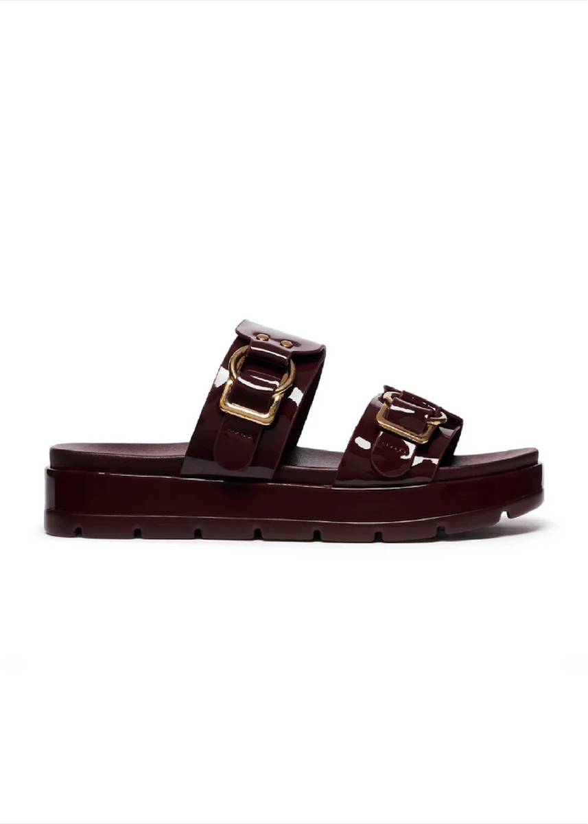 LITMUS SLIDES - CHERRY PATENT