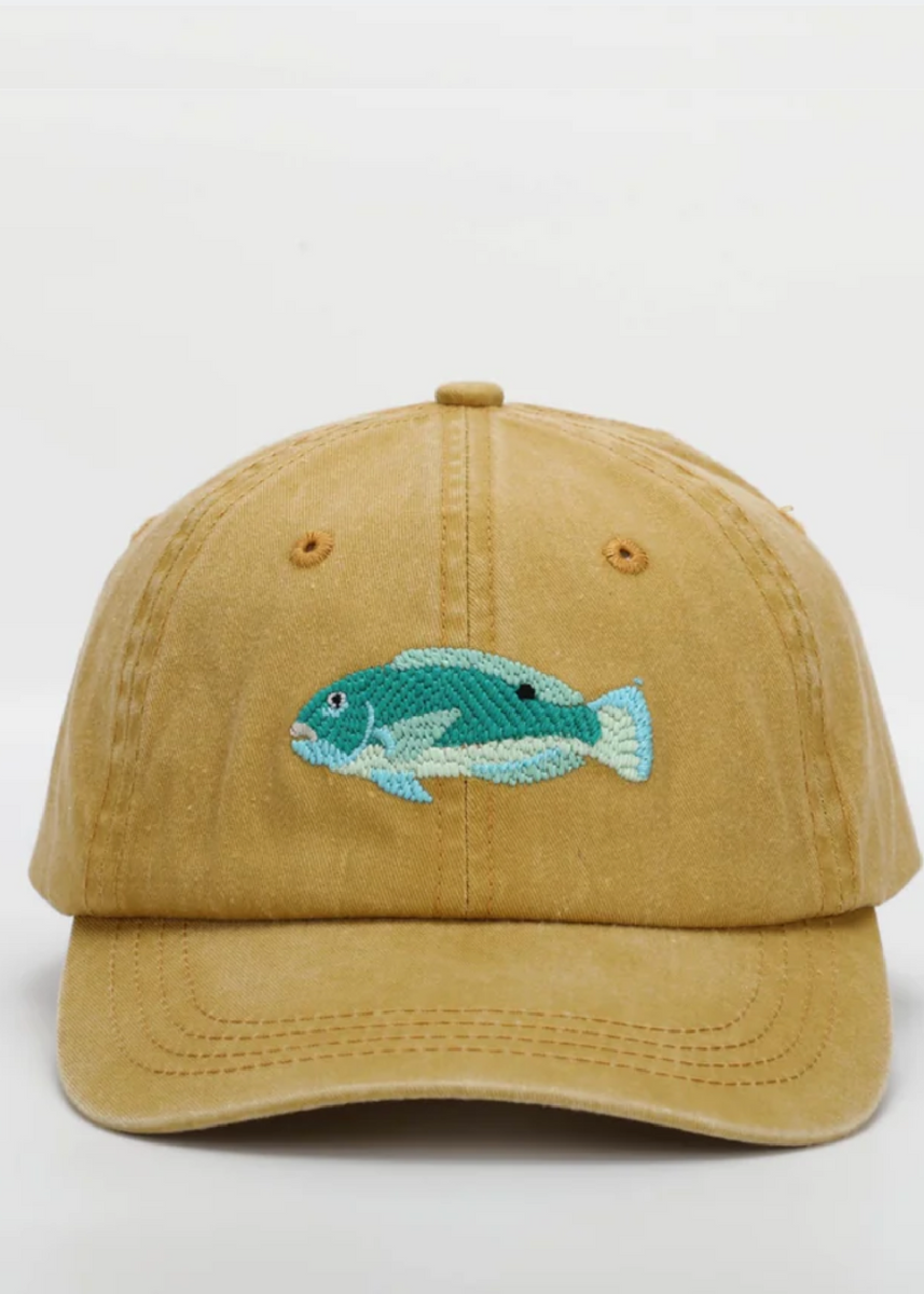 THE TUSKY FISH LID by Pallion Point