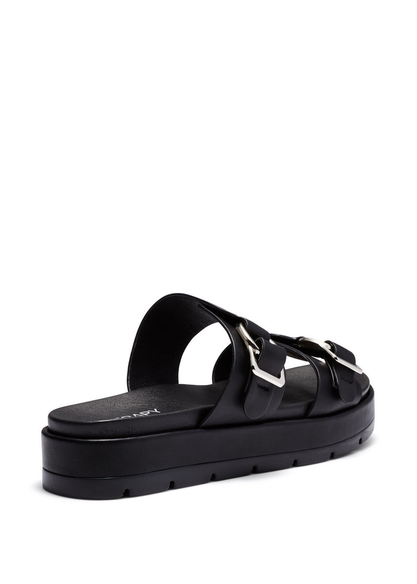 LITMUS SLIDES - BLACK