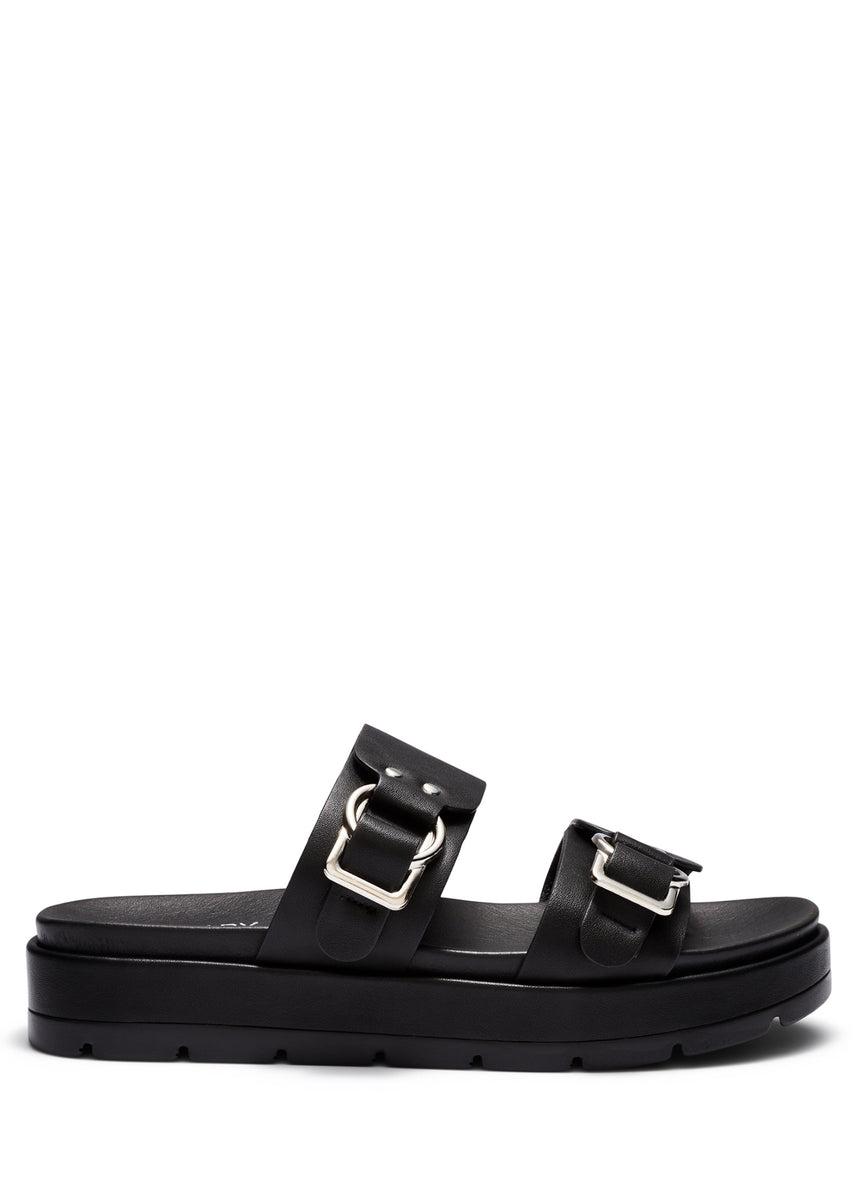 LITMUS SLIDES - BLACK