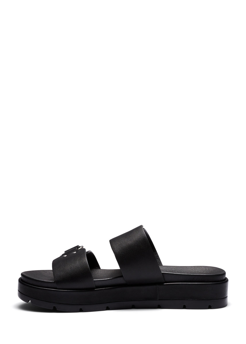 LITMUS SLIDES - BLACK